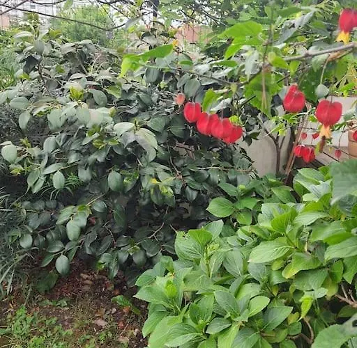 Alloggio in famiglia Chez Hélène *