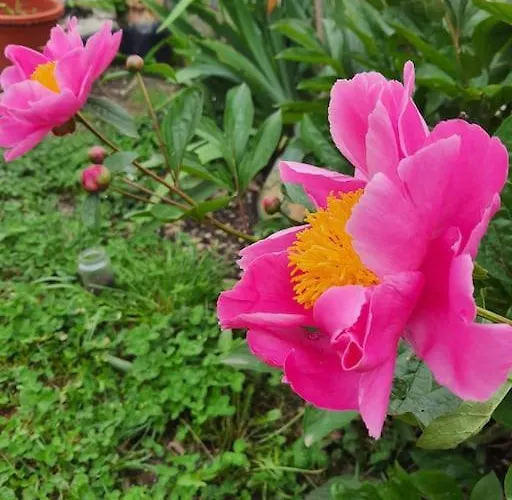 Chez Helene Δωμάτια σε οικογενειακή κατοικία