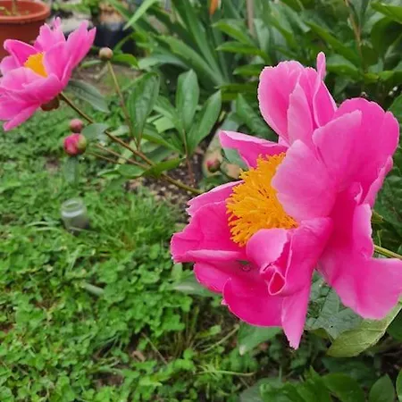 Chez Helene Quarto em Acomodações Particulares