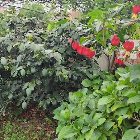 Rum i privatbostad Chez Helene *